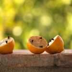 Decorazioni naturali per profumare la casa con soluzioni fai-da-te, come piante e candele aromatiche.