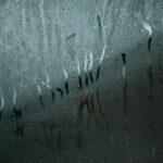 Immagine di un interno domestico asciutto e luminoso, con piante verdi e pareti senza segni di umidità.