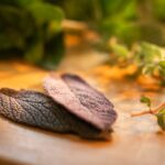 Foglia di salvia bruciata, simbolo di purificazione e tradizione popolare.