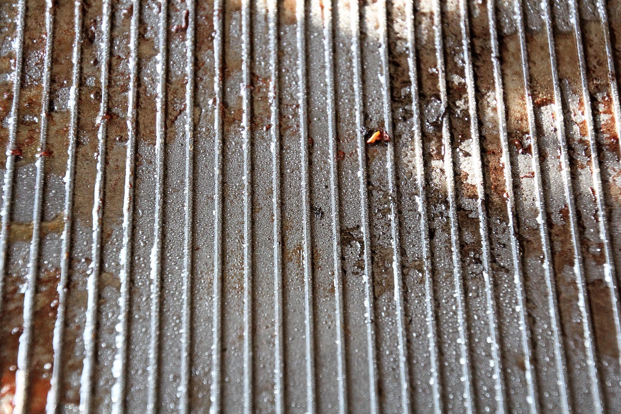 Immagine di un forno pulito e splendente, dopo un trattamento con rimedi naturali.