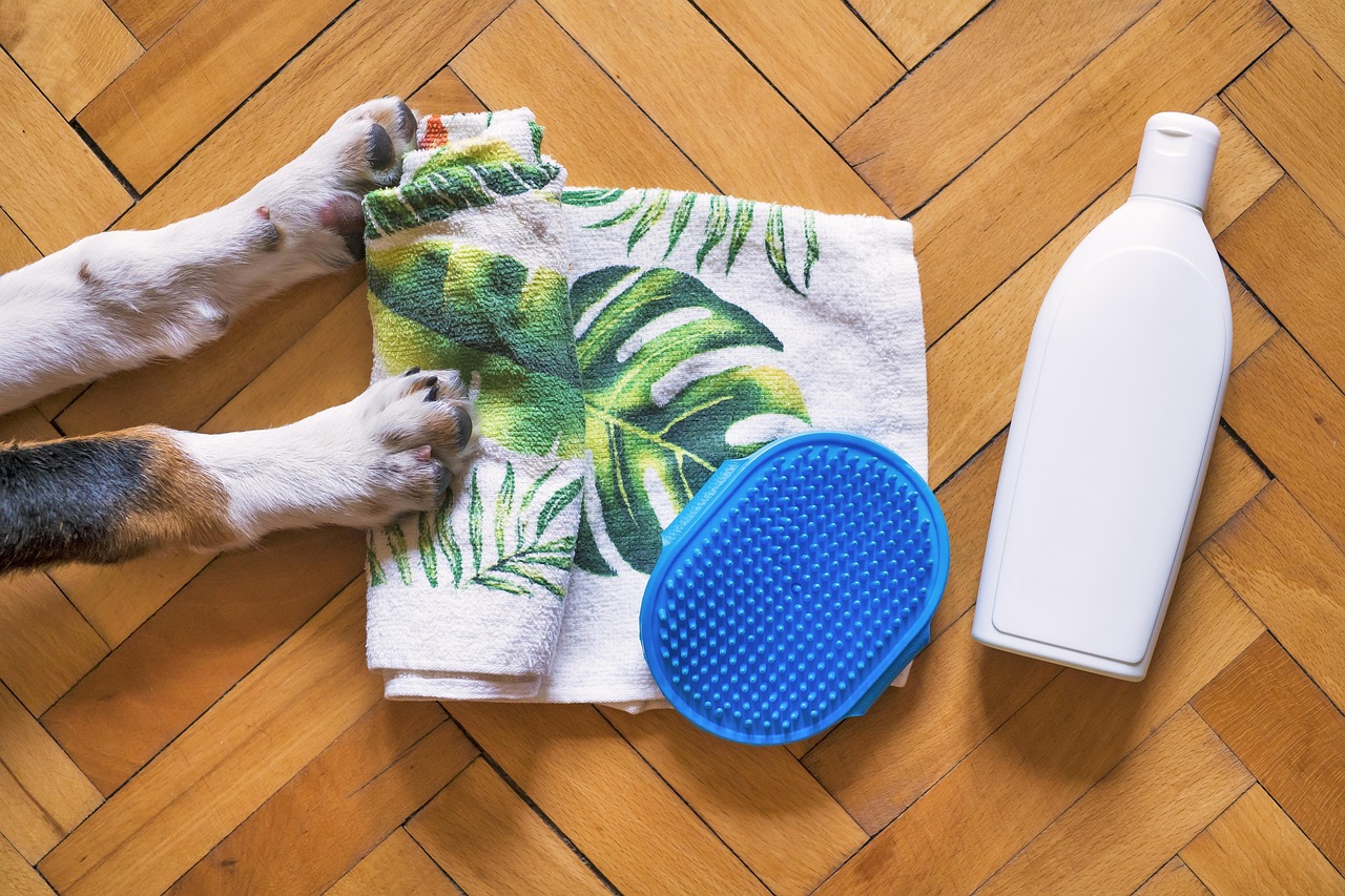 Rimedi naturali per eliminare l'odore di cane in casa, con prodotti ecologici e semplici suggerimenti.